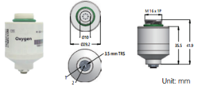 g12
